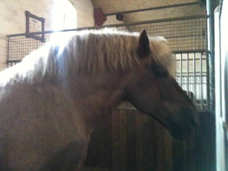 iphone 2011 2012 232